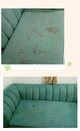 0557855145 CLEANERS Carpet Sofa Clean House Office Deep Cleaning Pest Control Spray Best P photo 1