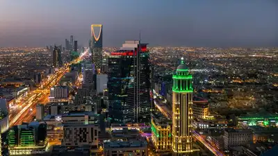 شركة خدمات توريد القوى العاملة وإدارة الم