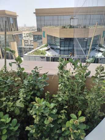 🌴 Riyadh Garden Experts | Gardening, Landscaping & Maintenance Services |  0553140446 photo 2
